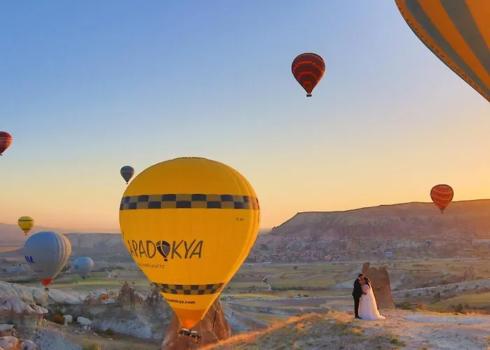호텔 사프란 케이브