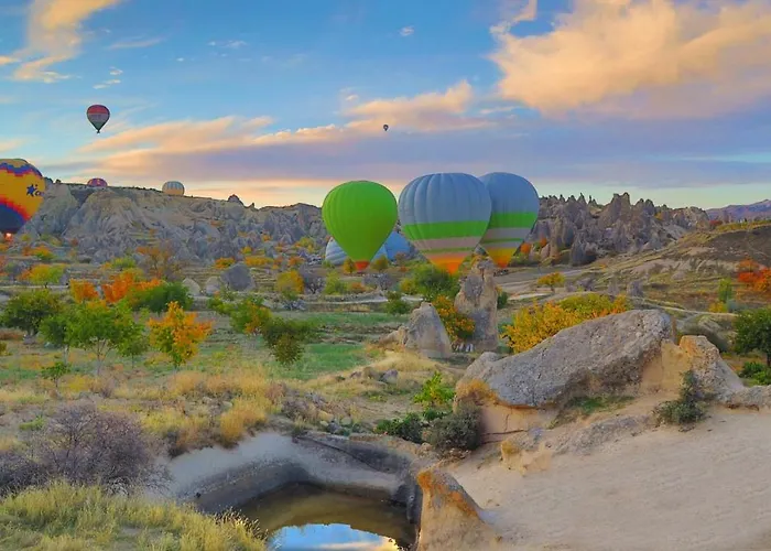 호텔 사프란 케이브 2*