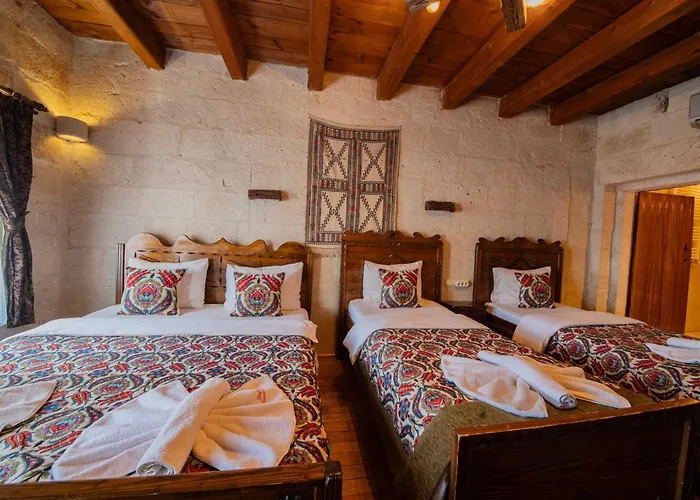 사프란 케이브 2*